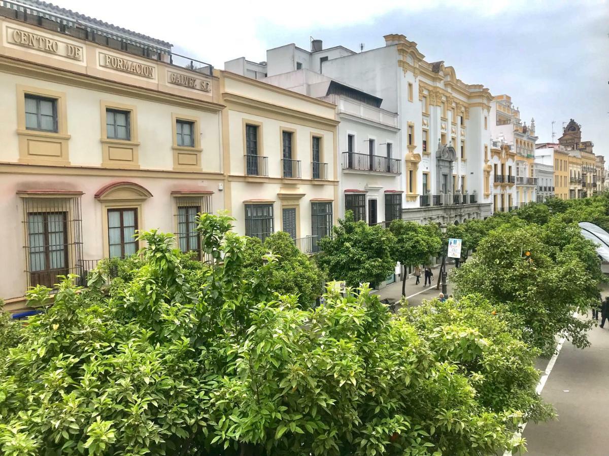Apartamento centro de Jerez Apartment Jerez de la Frontera Bagian luar foto